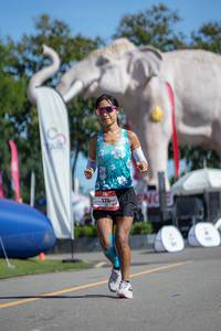 BIB: 
                            <button type="button" onclick="openModal(26545236)" class="btn btn-primary btn-sm float-right btn-popup" data-toggle="modal" data-target=".modal-high-quality">
                        <i class="fas fa-shopping-cart"></i> Add to Cart
                    </button>
                                            <button type="button" onclick="isThisMe(26545236, true)" class="btn btn-success btn-sm float-right btn-popup btn-isme hidden" data-toggle="tooltip" data-placement="bottom" title="นี่คือรูปของคุณใช่ไหม คลิกที่นี่เพื่อเอาเข้าอัลบั้ม">
                        <i class="fas fa-plus"></i> Add to album
                    </button>
                    <button type="button" onclick="isThisMe(26545236, false)" class="btn btn-warning btn-sm float-right btn-popup btn-isnotme hidden">
                        <i class="fas fa-ban"></i> Remove from album
                    </button>